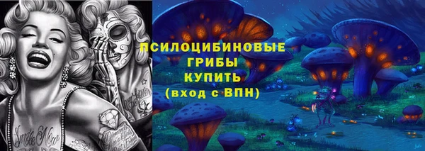 бошки Арсеньев