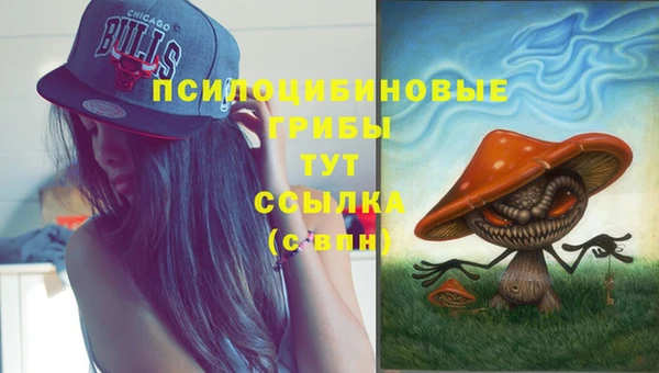 бошки Арсеньев