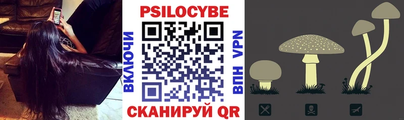 дарнет шоп Видное MEGA онион Галлюциногенные грибы прущие грибы
